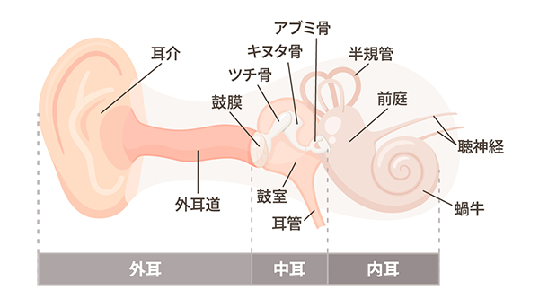 【画像】外耳・耳介の病気