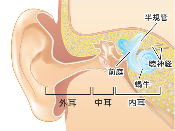 【画像】内耳の病気